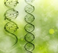 DNA Modell, Quelle: © Lonely - fotolia.com