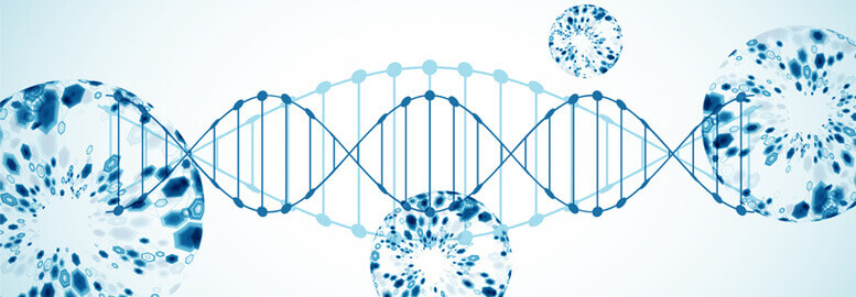 Visualisierung DNA Moleküle